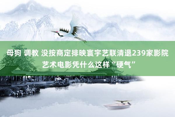 母狗 调教 没按商定排映寰宇艺联清退239家影院 艺术电影凭什么这样“硬气”