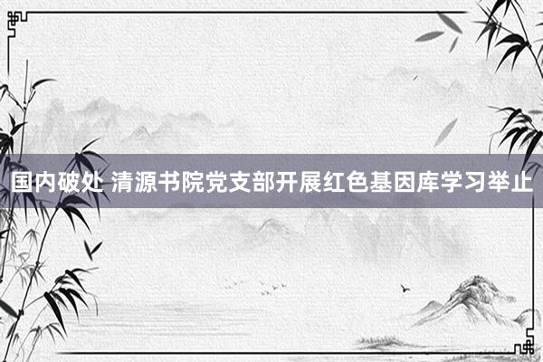 国内破处 清源书院党支部开展红色基因库学习举止