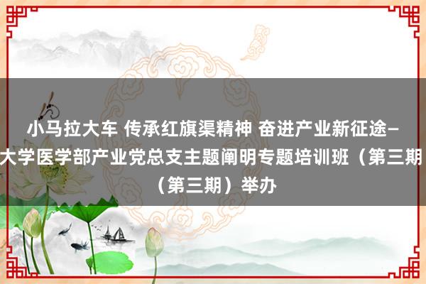 小马拉大车 传承红旗渠精神 奋进产业新征途——北京大学医学部产业党总支主题阐明专题培训班（第三期）举办