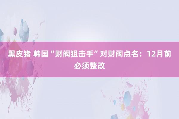 黑皮猪 韩国“财阀狙击手”对财阀点名：12月前必须整改