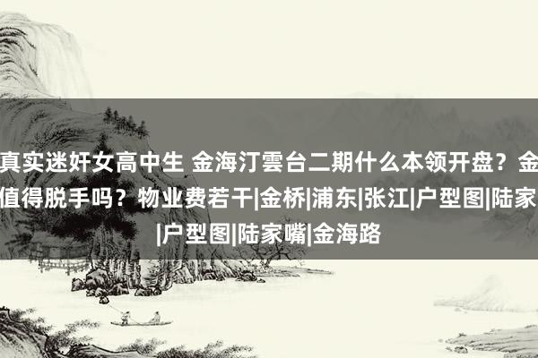 真实迷奸女高中生 金海汀雲台二期什么本领开盘？金海汀雲台值得脱手吗？物业费若干|金桥|浦东|张江|户型图|陆家嘴|金海路